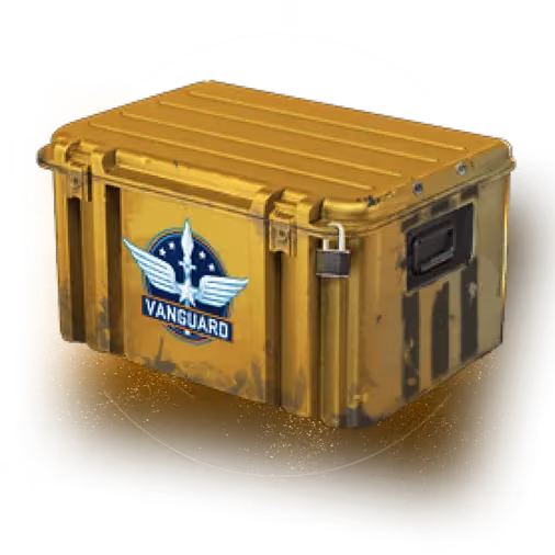 Кейс «Авангард»